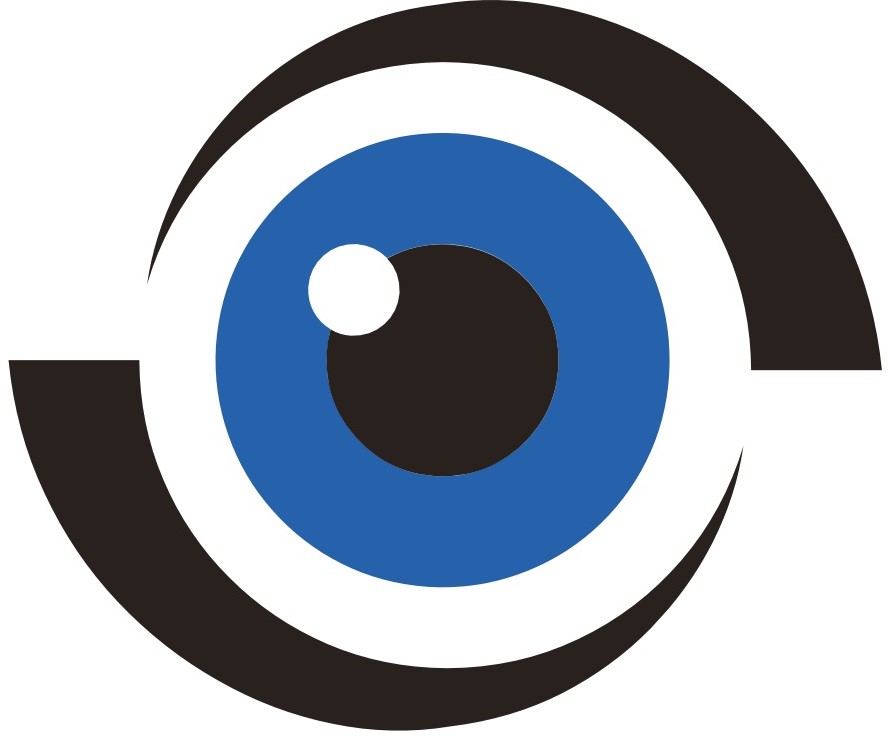 C-Insight Logo